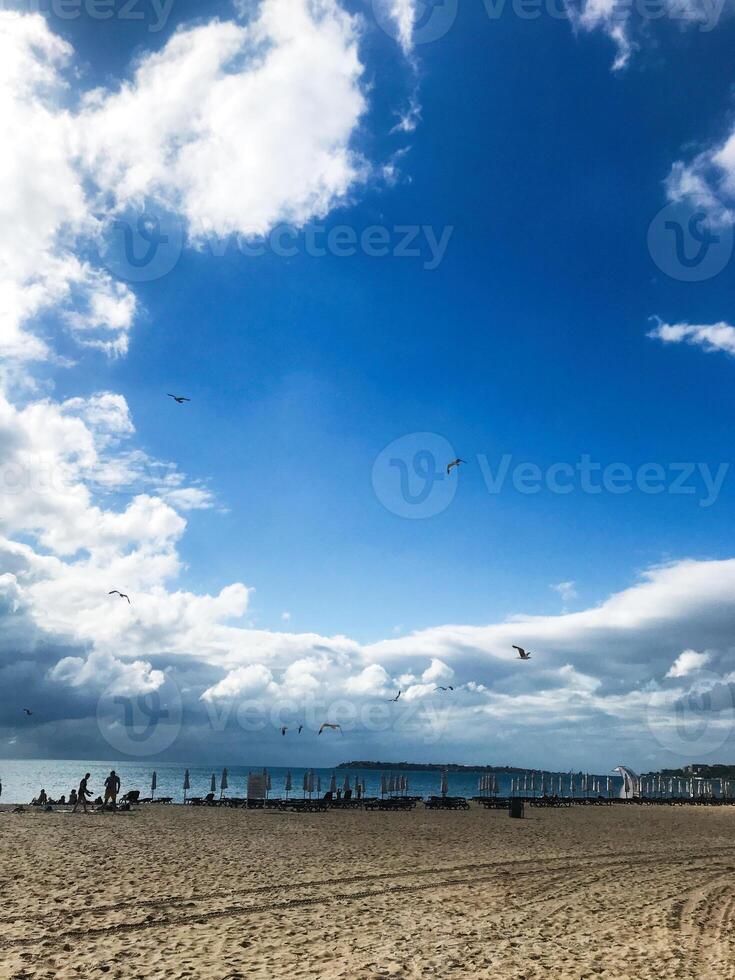 Wide sandy beach with clear blue sky and ocean waves photo