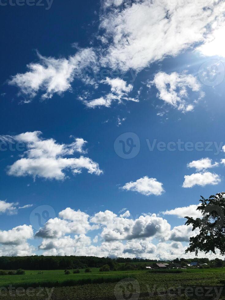 Tranquil rural landscape under a bright blue sky with fluffy clouds photo