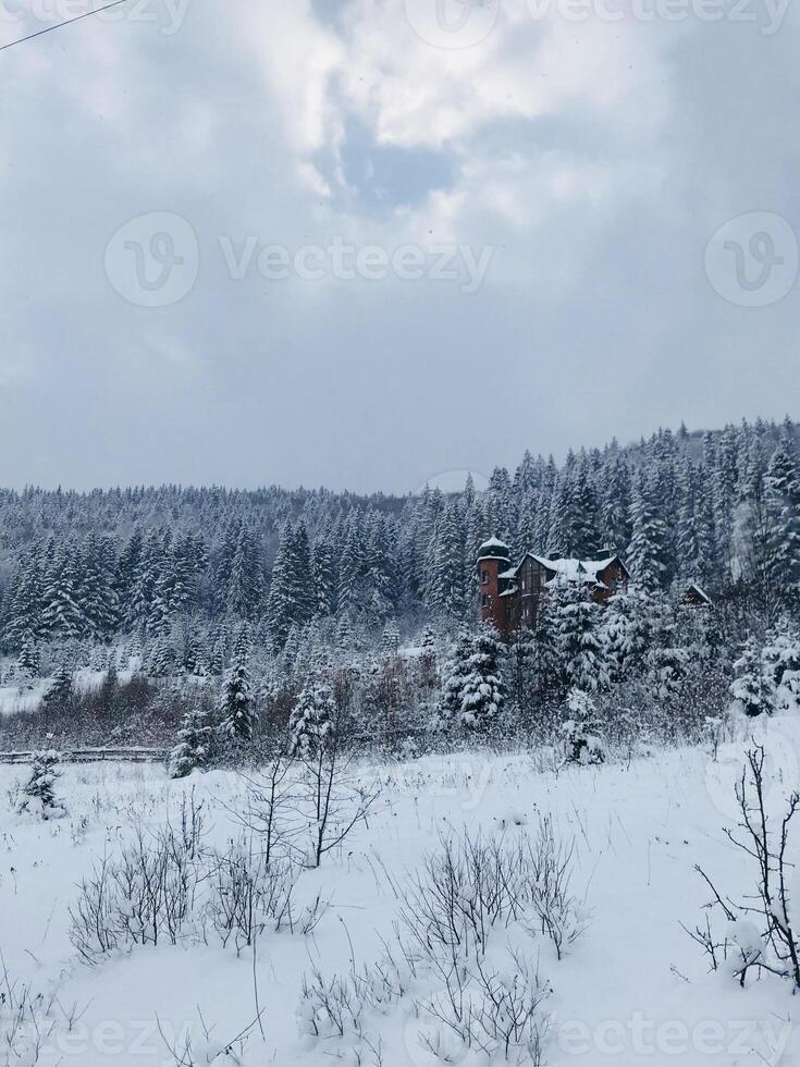 Snow-covered landscape with forest and isolated red cabin photo