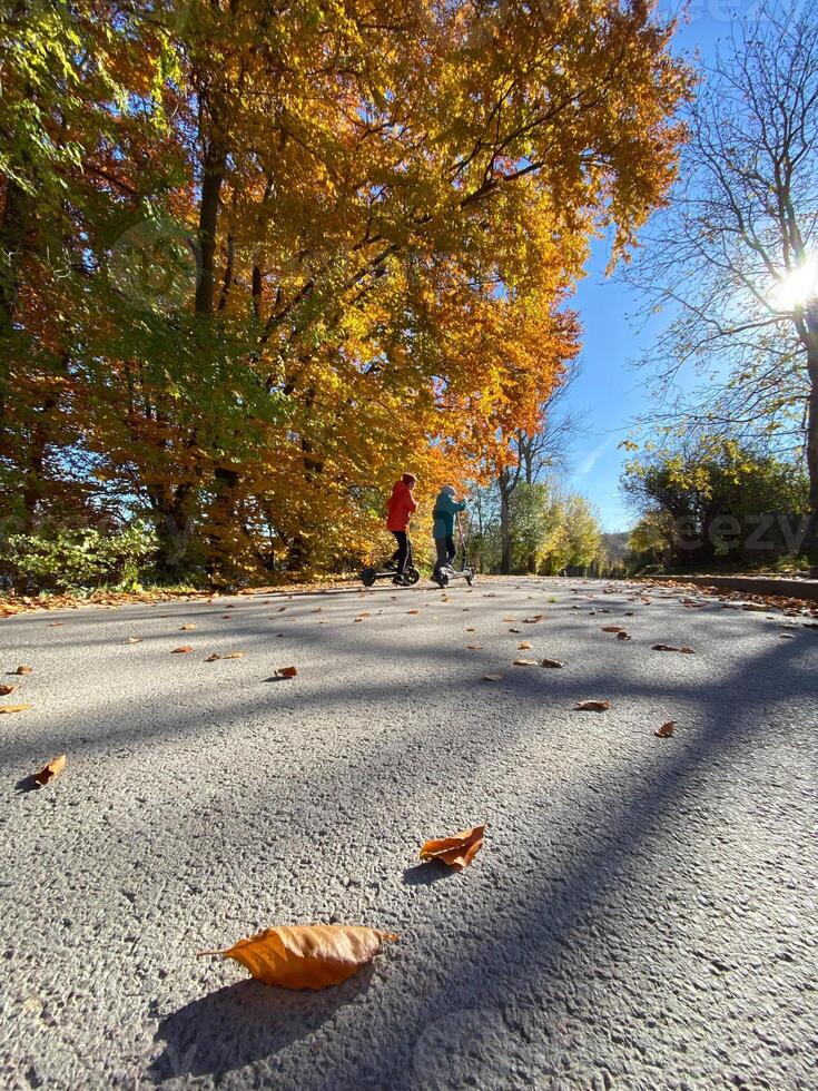 Children walking on an autumn path under colorful foliage photo