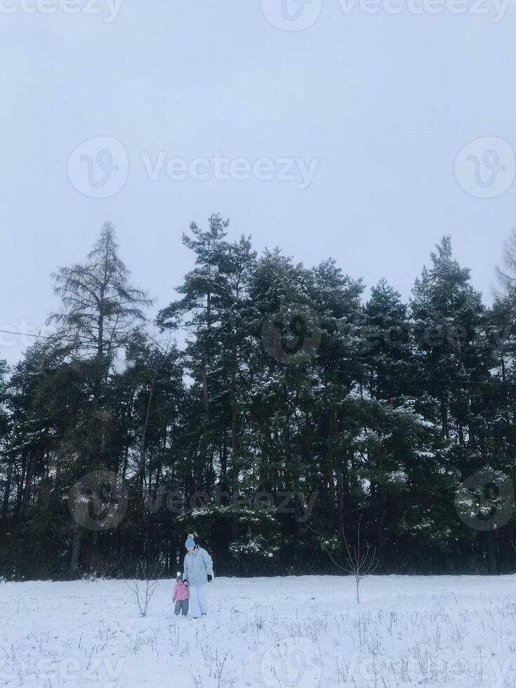 Parent and child enjoying a snowy winter day in the forest photo