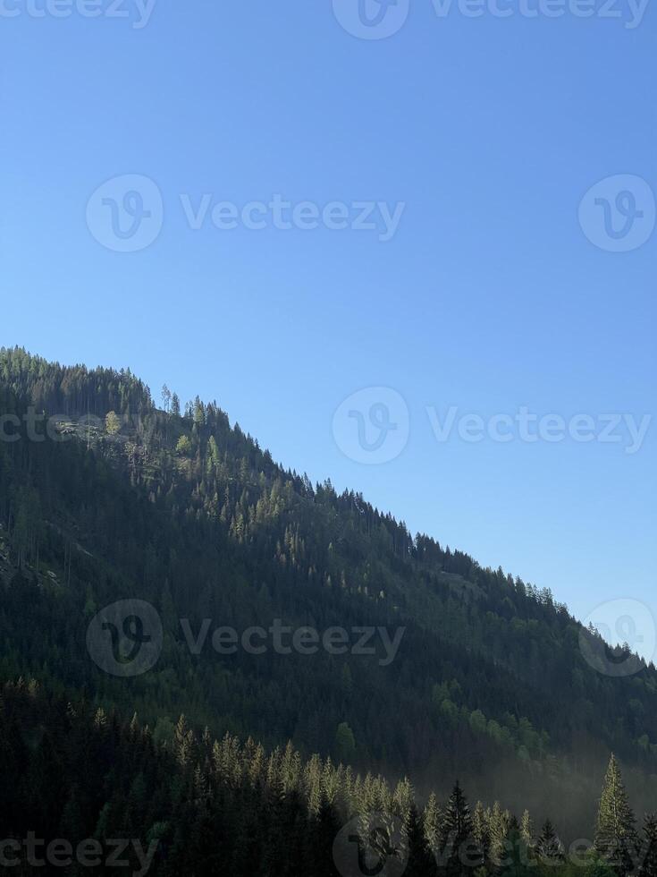 Serene mountain landscape with lush green forest under bright blue sky in Austria photo