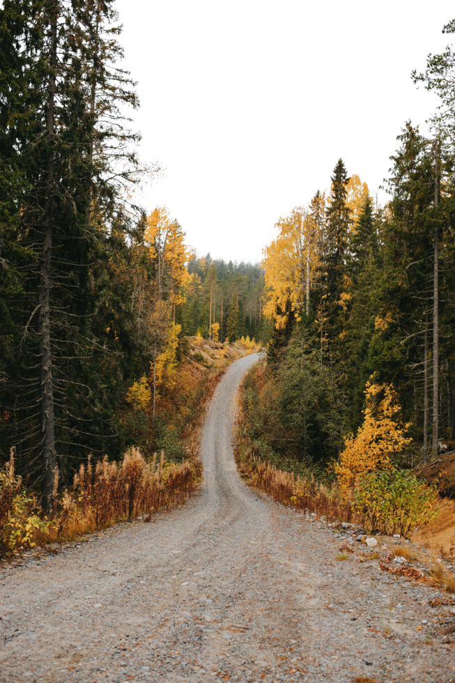 autumn in the mountains with isolated background png