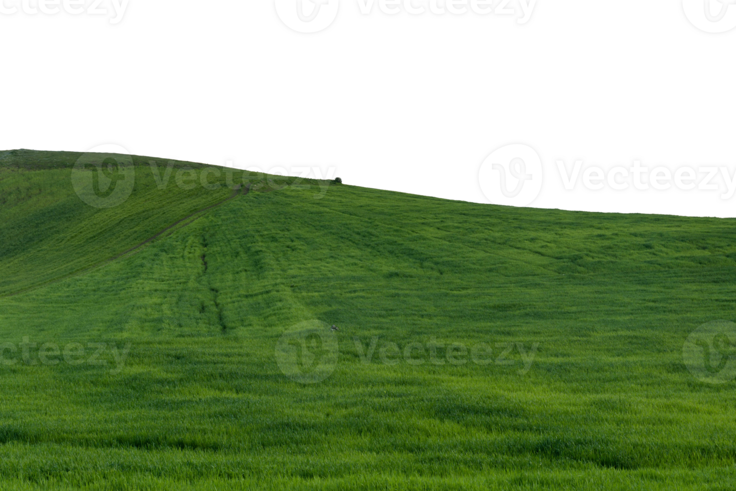 green field and mountains isolated background. png