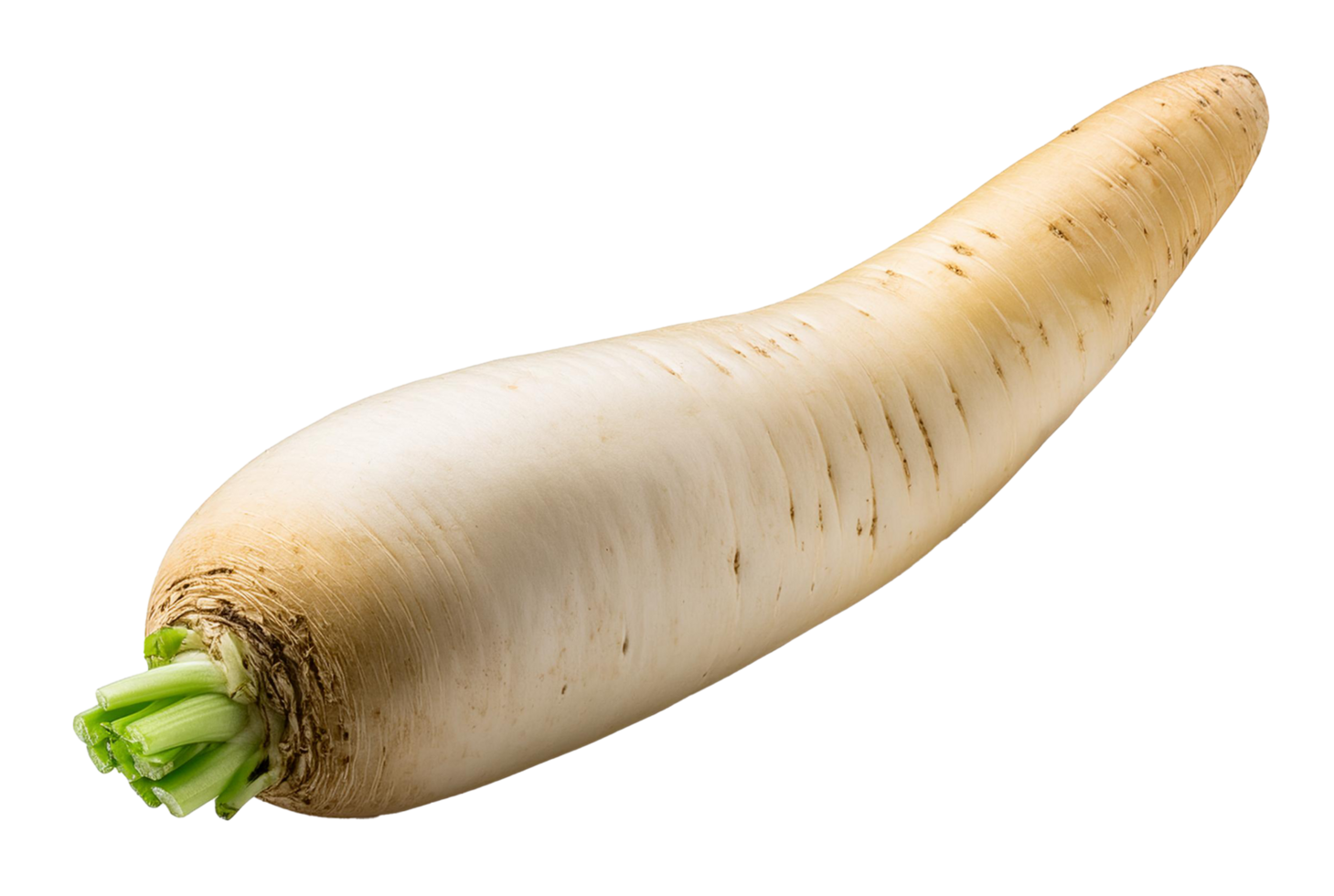 Whole Fresh Daikon Radish with Green Stem png
