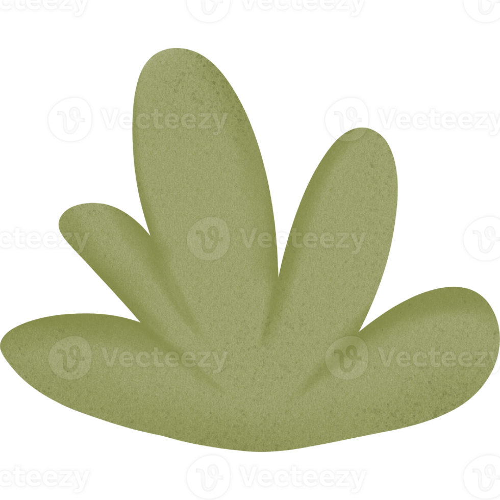lovely green grass png