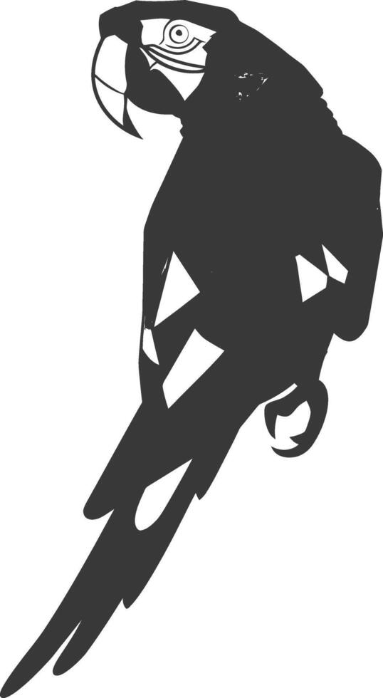 parrot silhouette with its wings spread wide vector