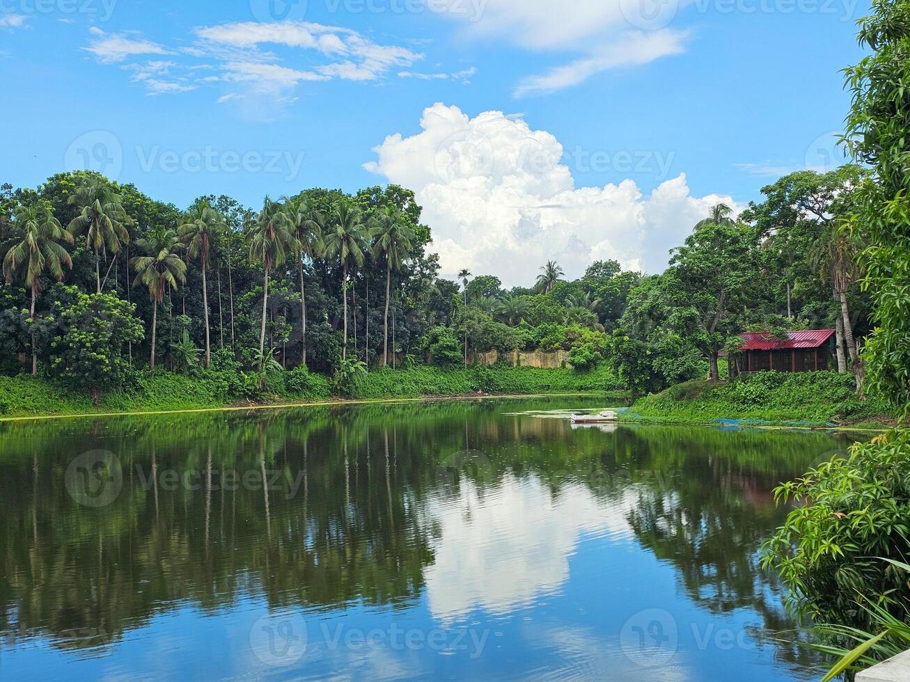 A lake surrounded by trees and a house photo