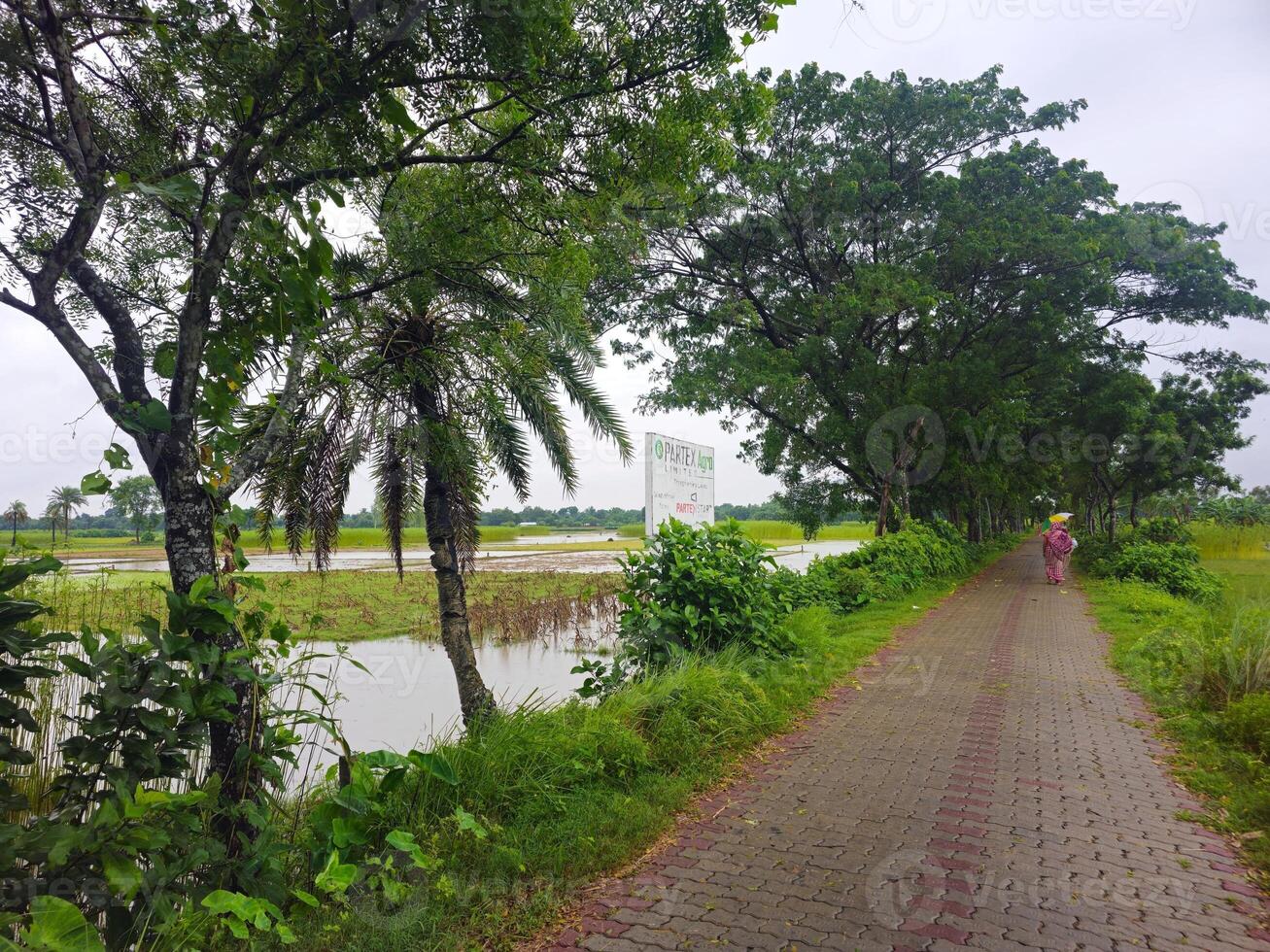 A path next to a river with trees and grass photo