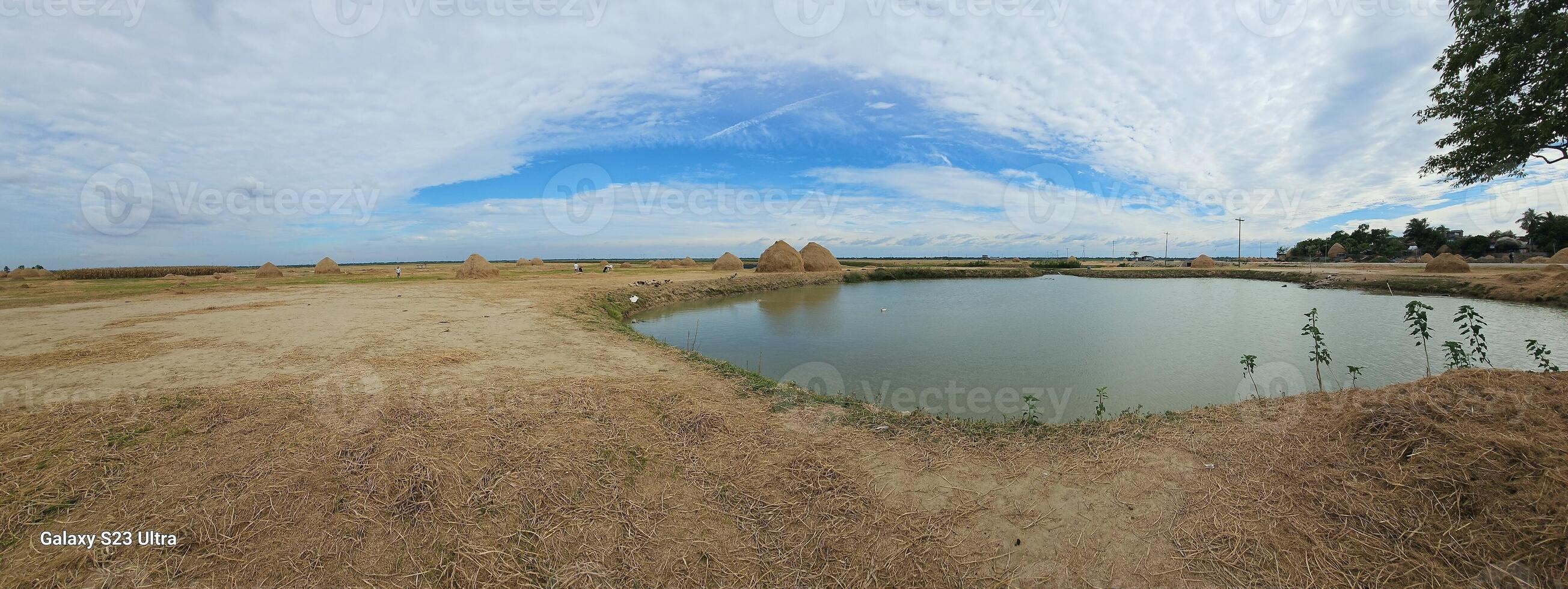 A 360 degree view of a pond in the middle of a field photo