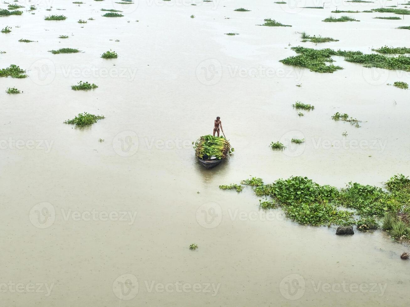 A boat is floating in a flooded area photo