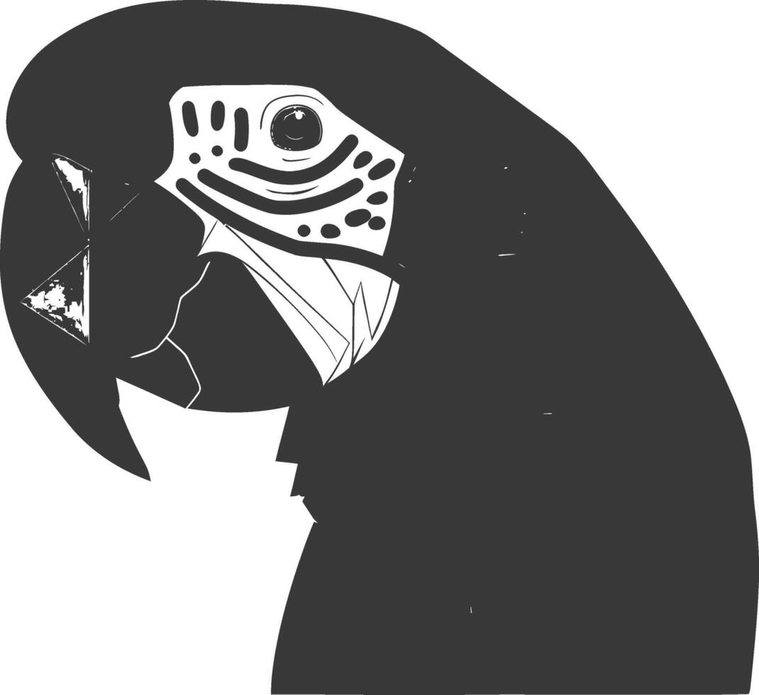 close up of a black and white parrot vector