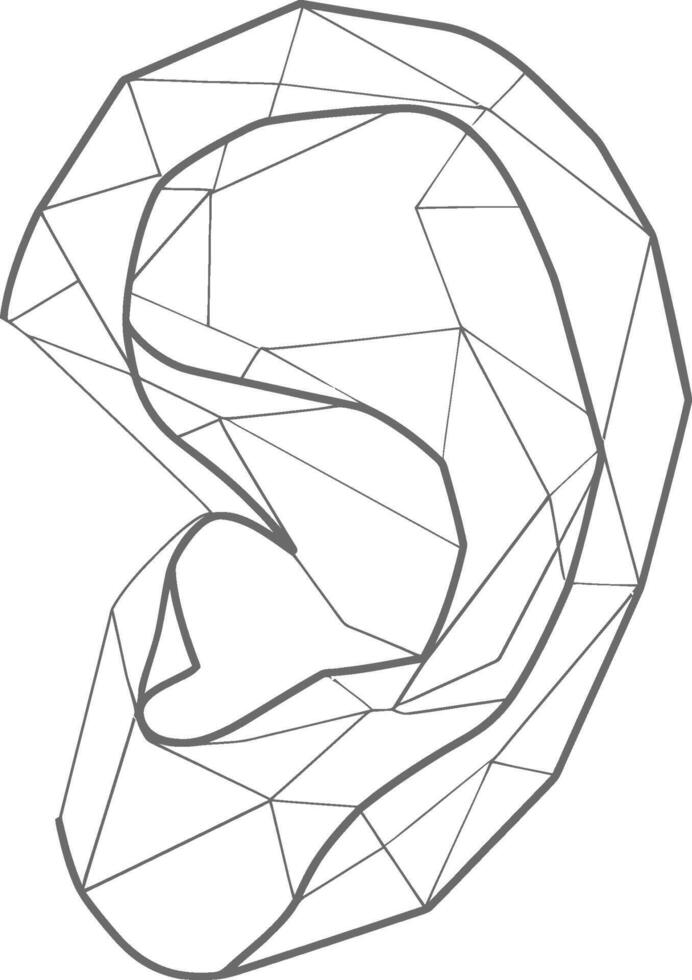 Geometric Representation of a Human Ear vector