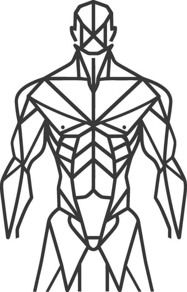 Geometric Representation of a Male Torso with Detailed Muscle Structure vector