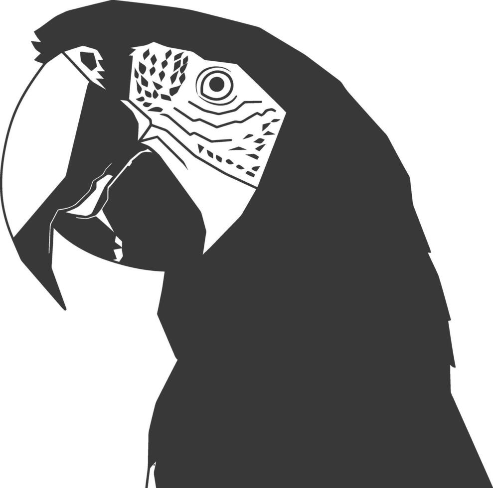 black and white silhouette of a parrots head vector
