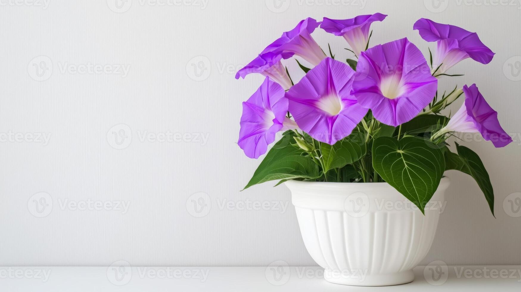 A Serene Display of Vibrant Purple Flowers in a White Pot photo