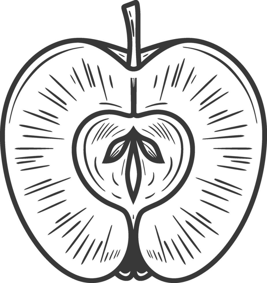 A black and white drawing of an apple vector