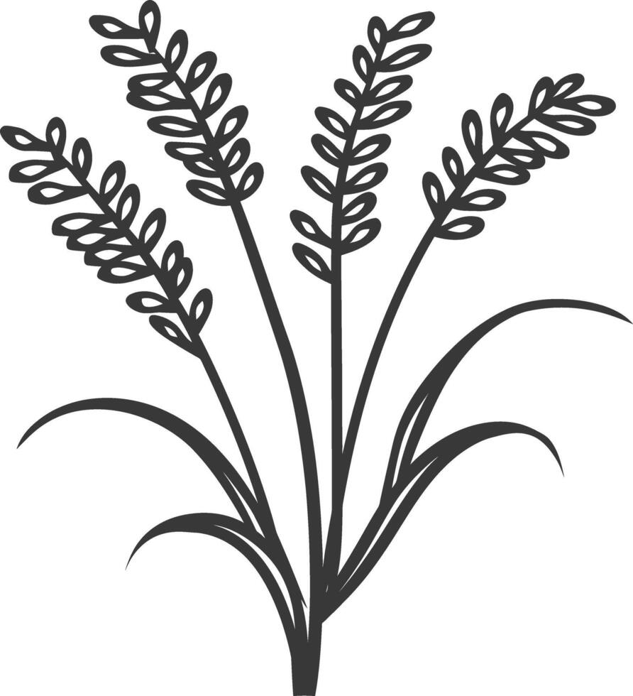 A black and white drawing of a plant with leaves vector