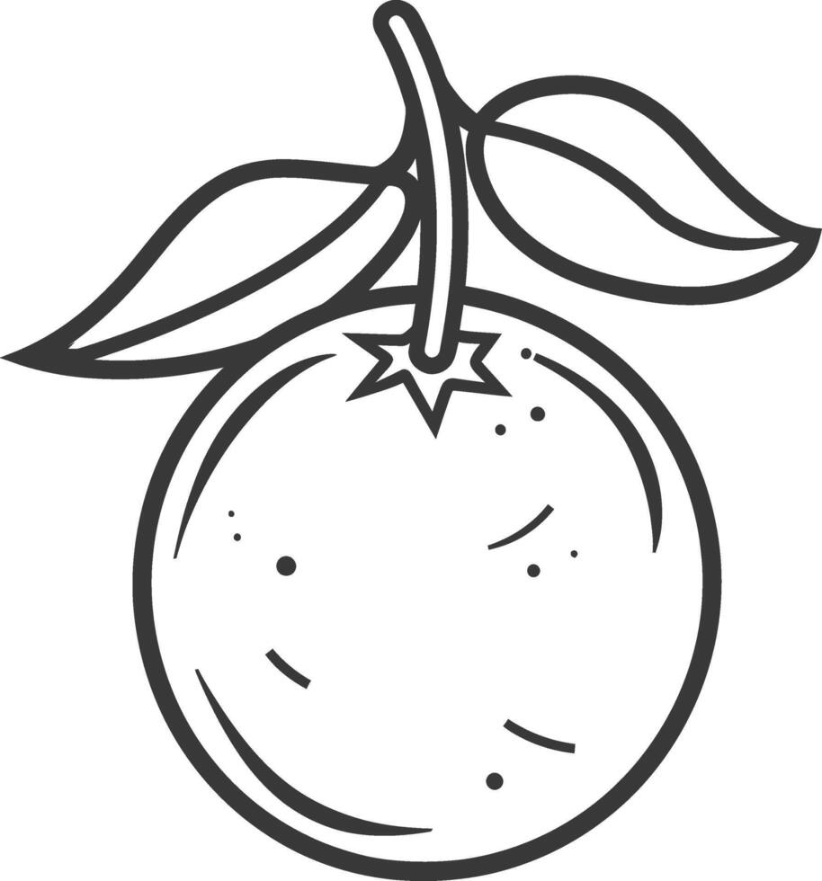 Orange fruit with leaf illustration vector