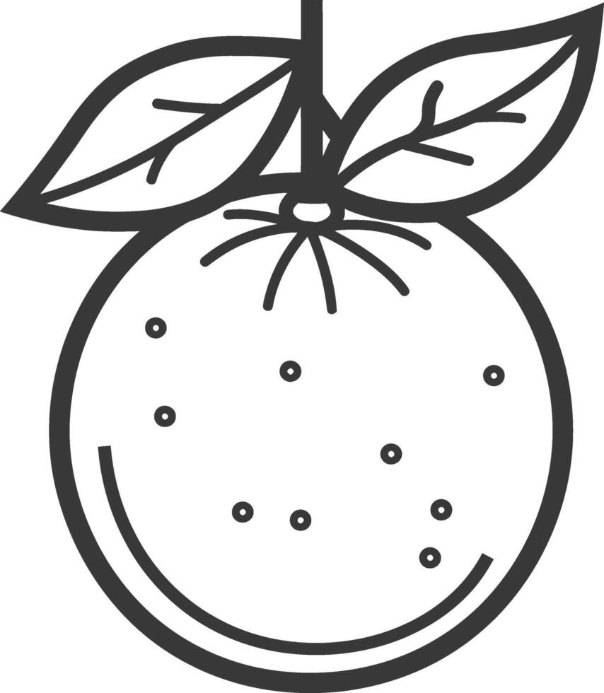 Orange fruit outline illustration vector