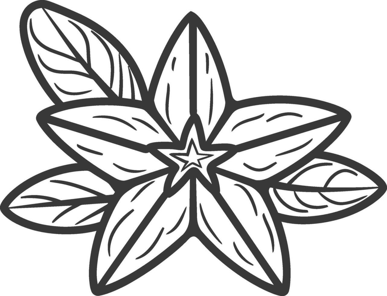 A black and white drawing of a star flower vector