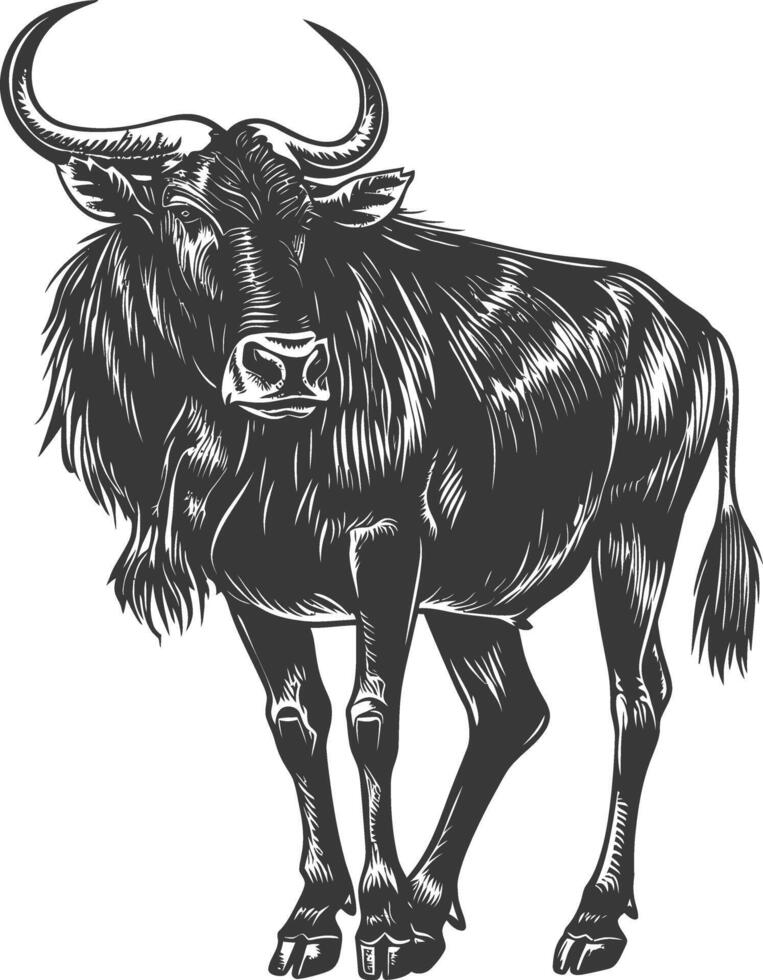 An illustration of a wildebeest vector