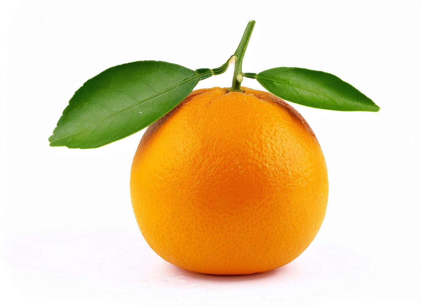 Brightness of orange photo