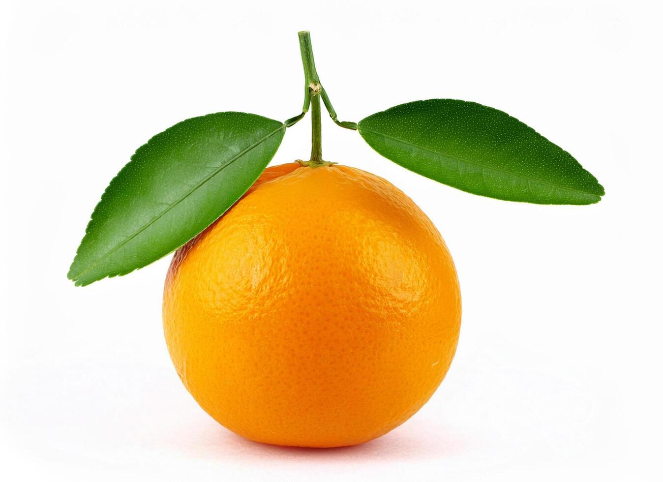 Brightness of orange photo
