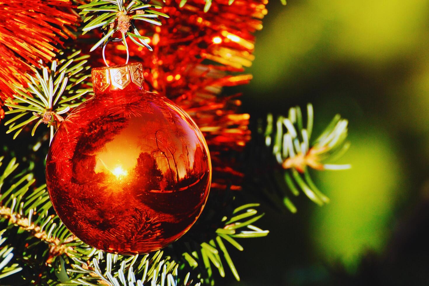 Merry Christmas A Massage Of Peace photo