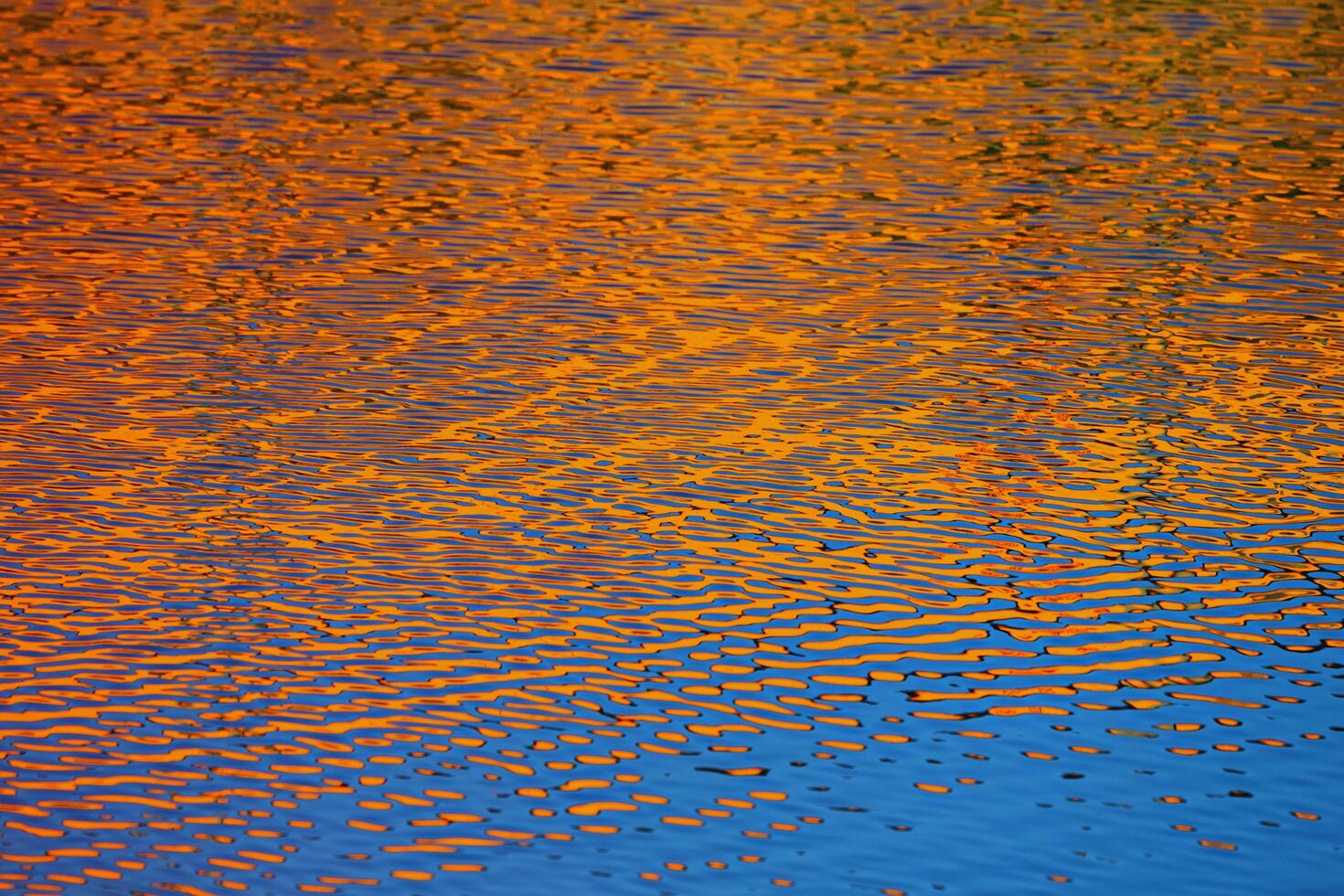 Crimson Ripples Natures Mirror on the Pond photo