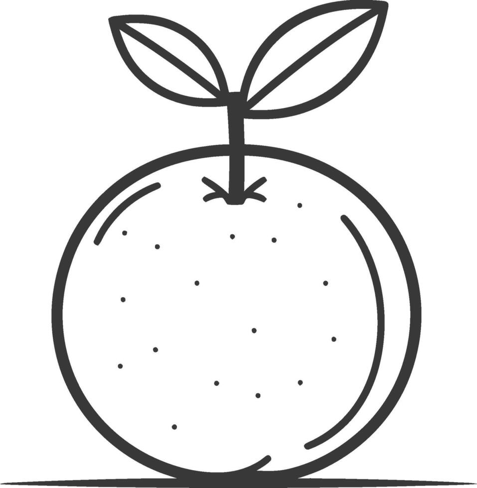 Orange fruit line art illustration vector