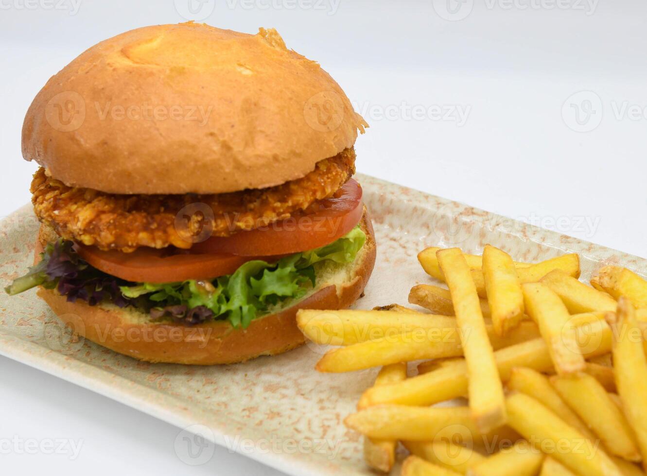 Gourmet American-Style Breaded Chicken Burger and Fries photo