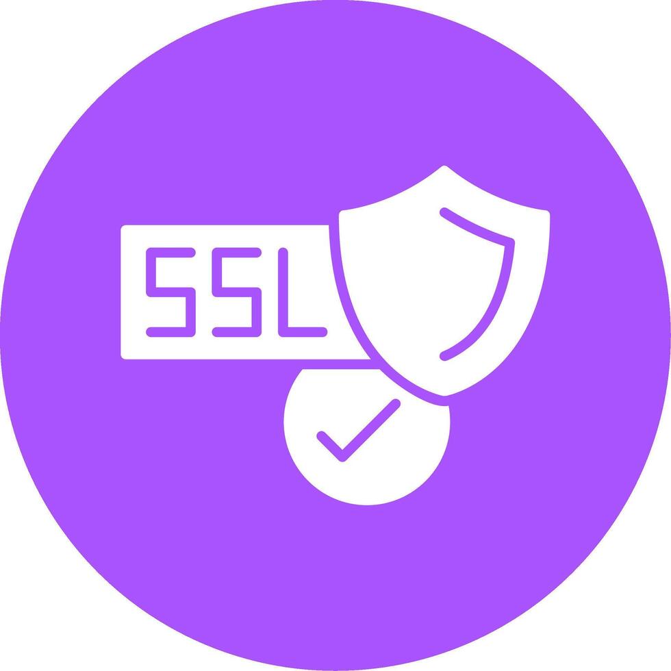 SSL Certificate Glyph Style Icon vector