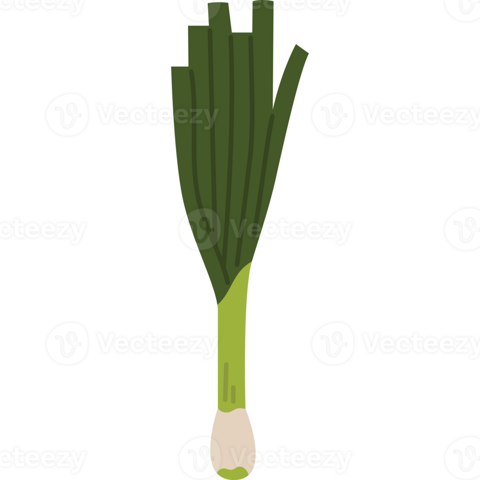 spring onion vegetable png