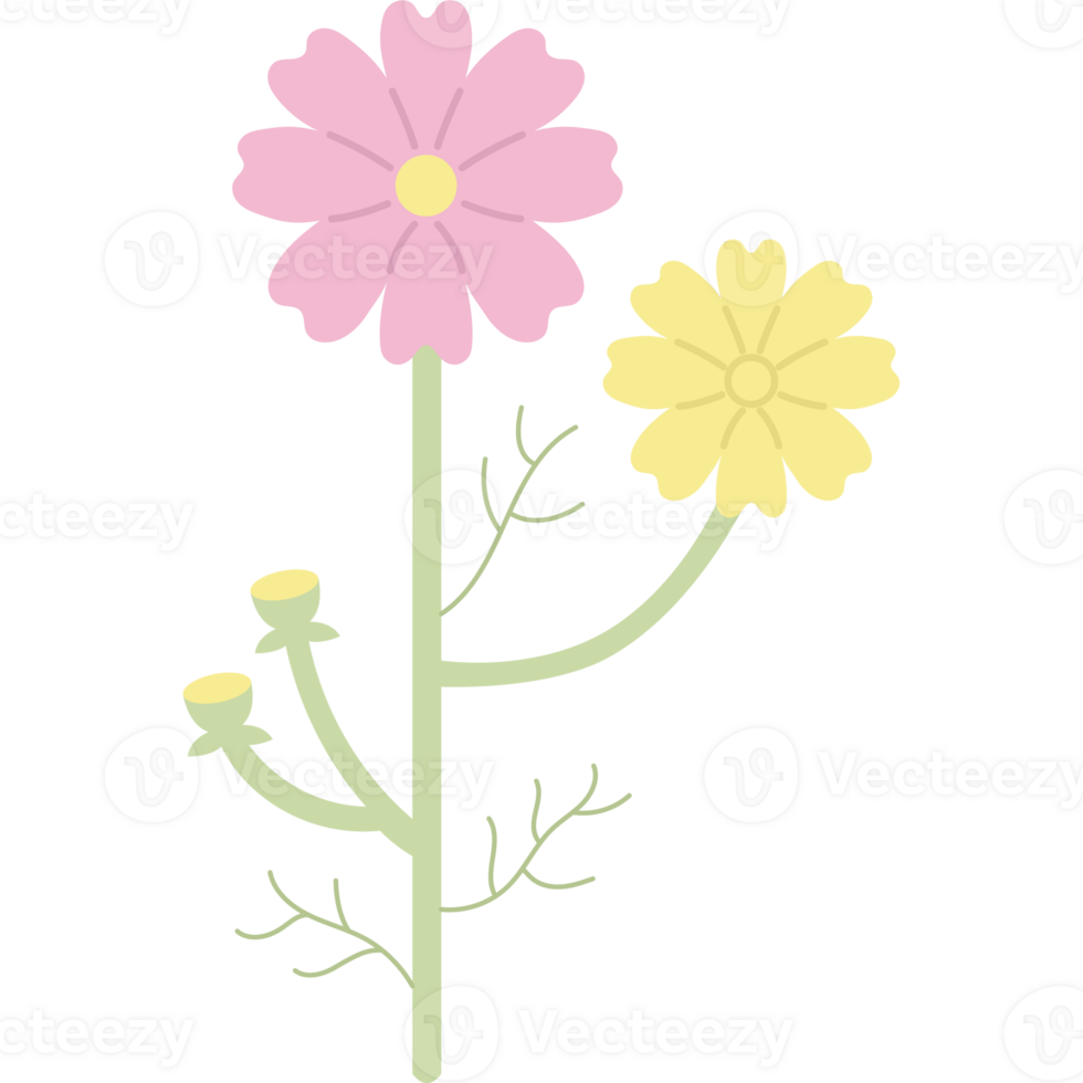 cosmos flower stem png