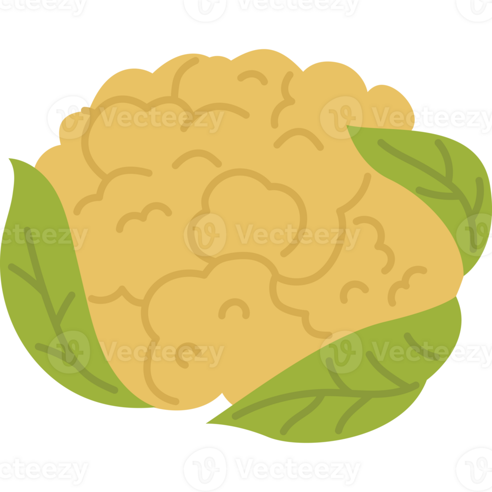 cauliflower vegetable food png