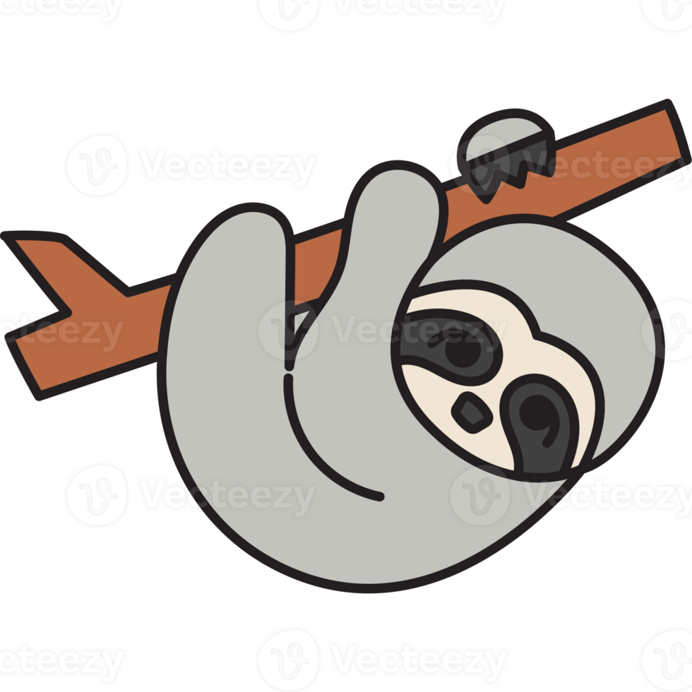 sloth animal zoo png
