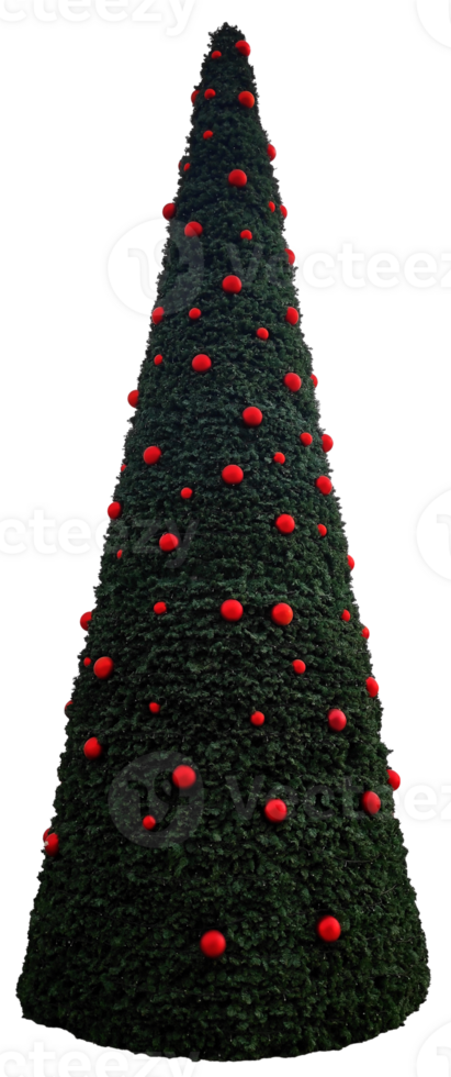 Cut out of a Christmas tree png