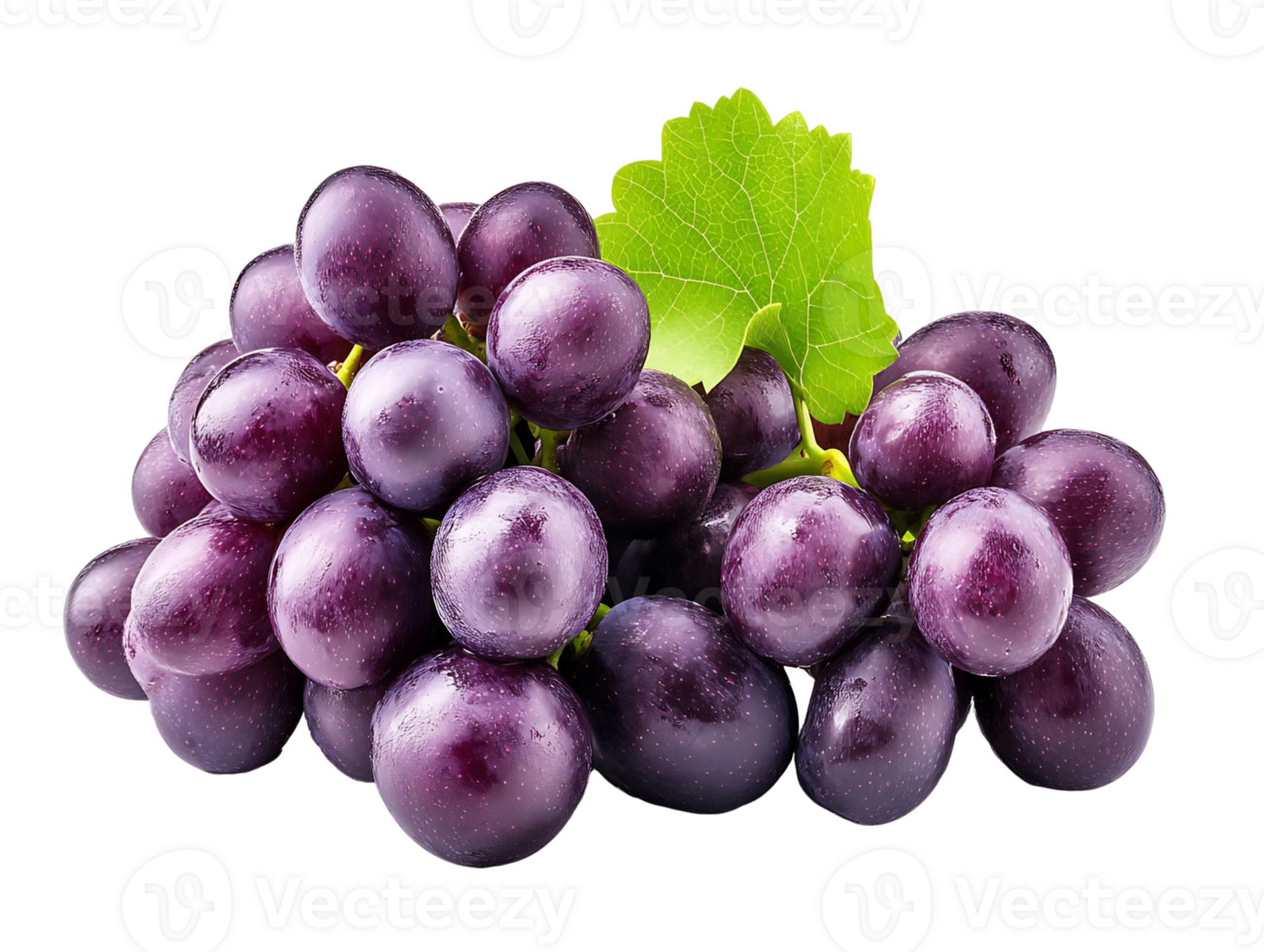Grapes Cluster Isolated on Transparent Background png