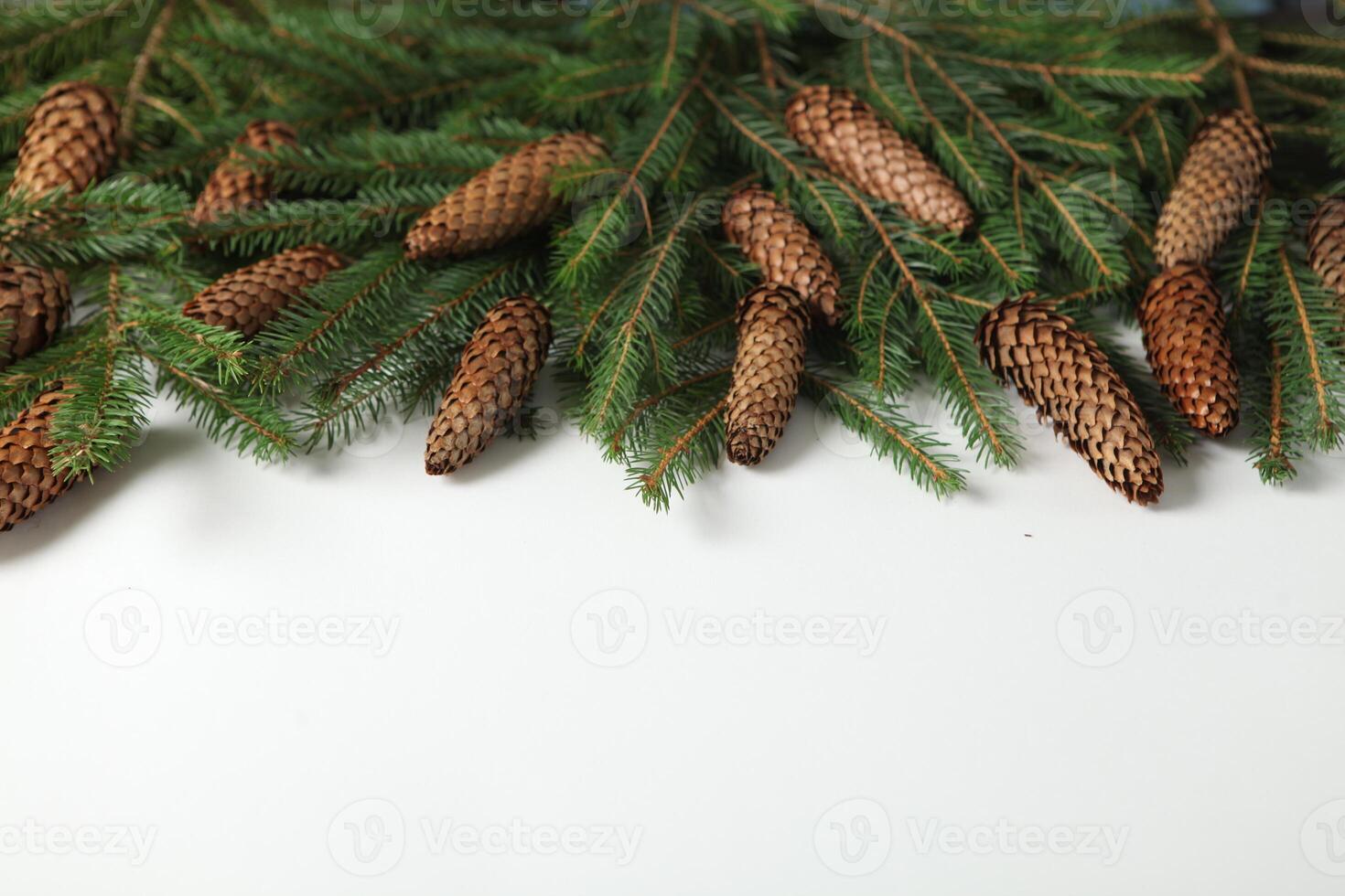Background for new year 2025. New year's theme on white surface with fir branches. Design for greeting card. photo