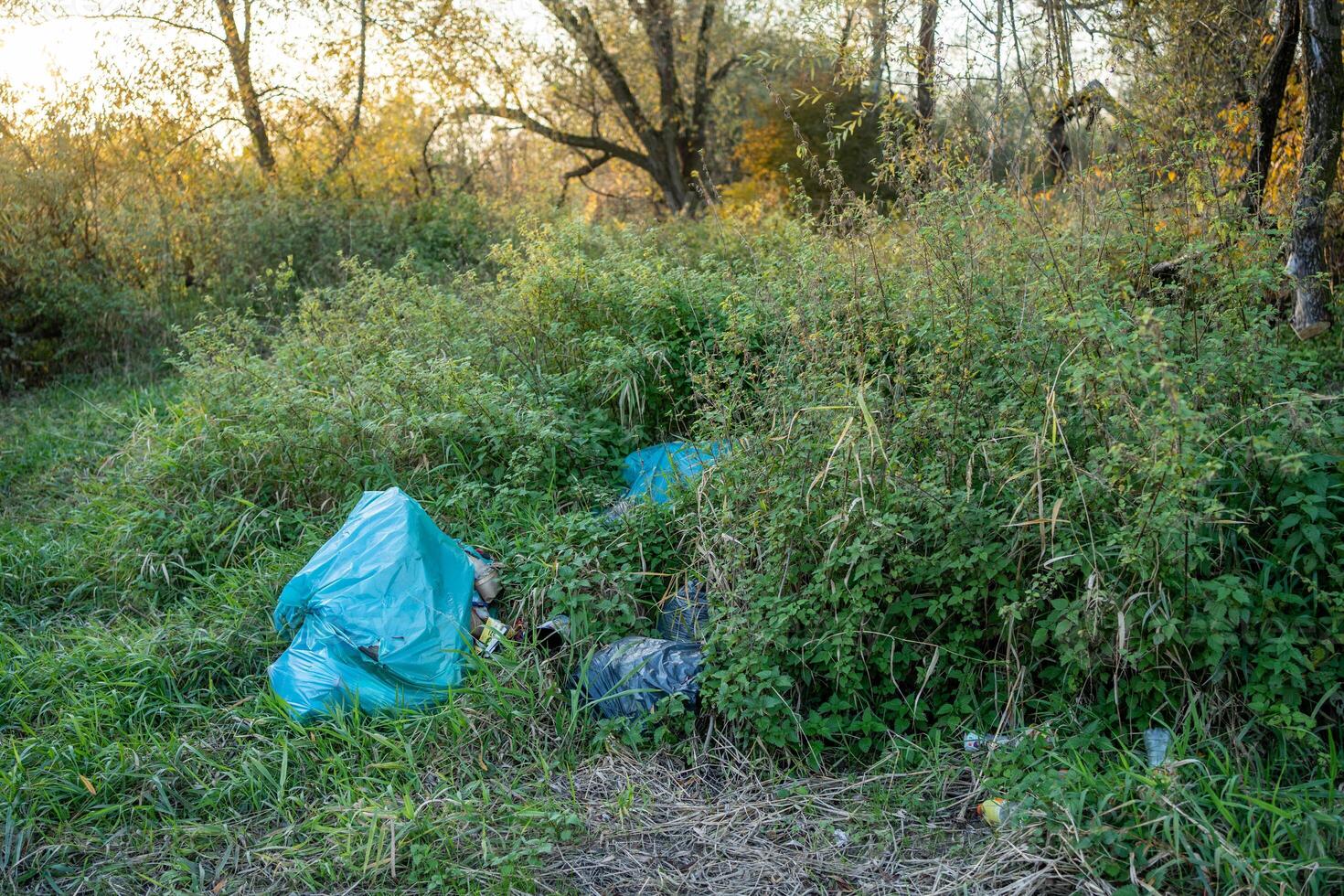 Plastic garbage bags in nature photo