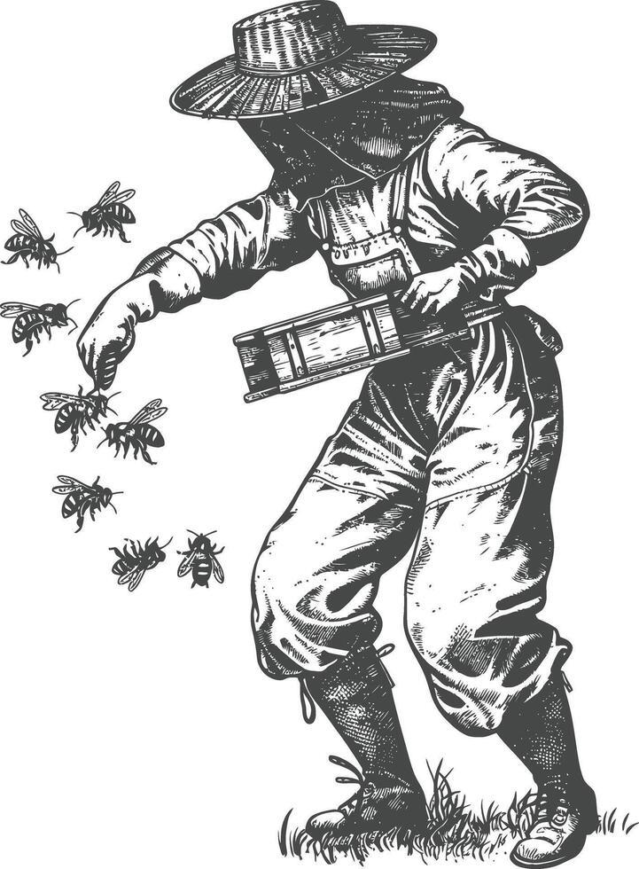 Beekeeper with a box of bees, vintage engraving illustration vector