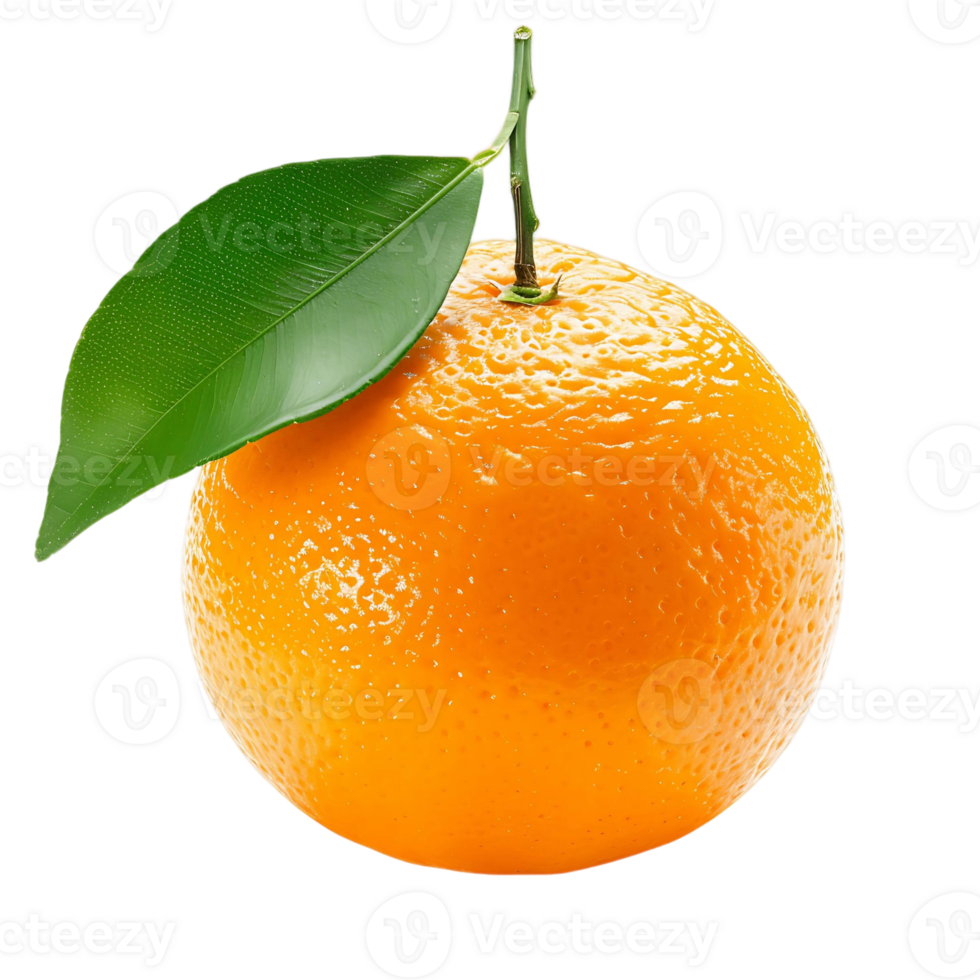 Fresh Orange with Green Leaves Cutout on Transparent Background png