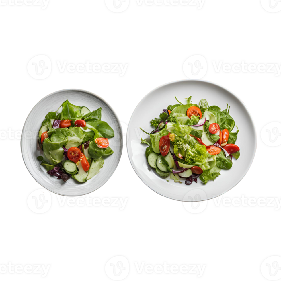 Two plates with salad on them png