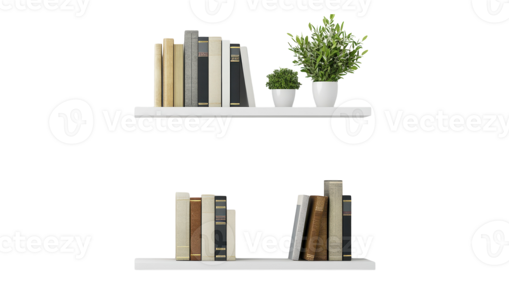 Two shelves with books and plants on them png