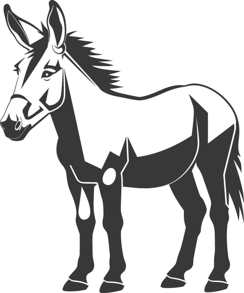 A donkey is standing in front of a white background vector