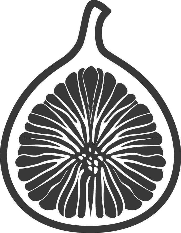 A black and white illustration of a fig vector