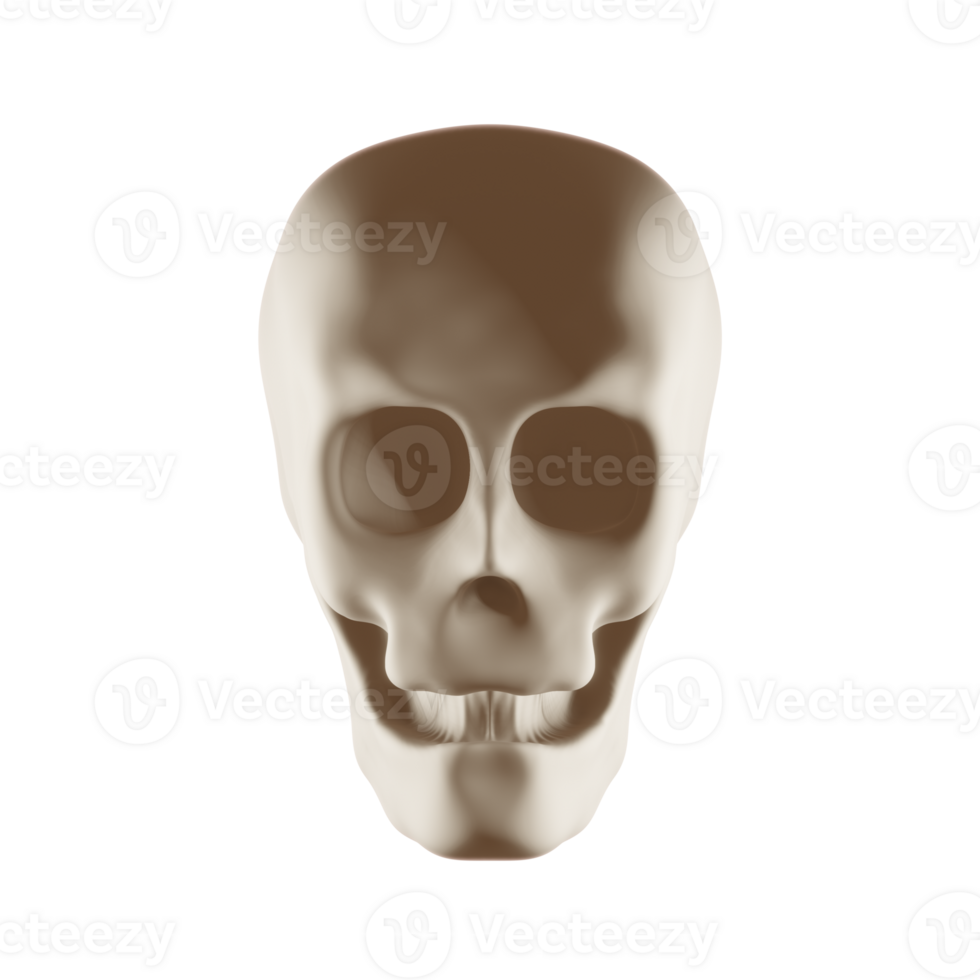 3D render skull png
