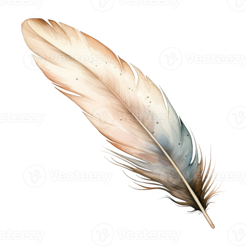 Watercolor Painting of a Single, Elegant Bird Feather with Subtle Color Variations png