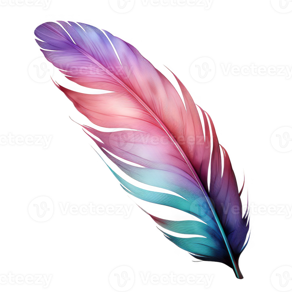 Iridescent feather with a vibrant, multicolored, glittery edge, isolated on black. png